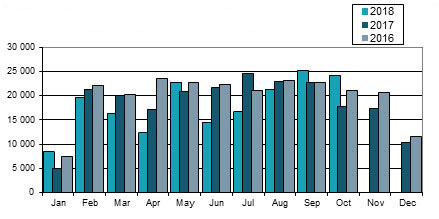 South African Passenger Vehicle Export